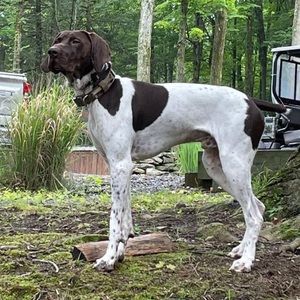 Meet your Posher, Greg